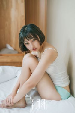 上门女婿叶辰